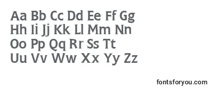 FlemingRegularDb Font