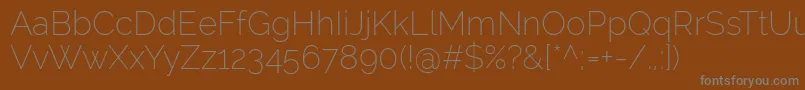 RalewayExtralight Font – Gray Fonts on Brown Background