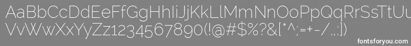 RalewayExtralight Font – White Fonts on Gray Background