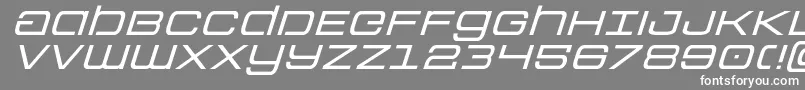 Colonymarinesexpandital Font – White Fonts on Gray Background