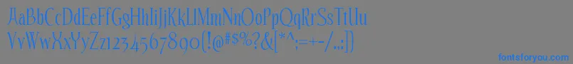 EchelonRg Font – Blue Fonts on Gray Background