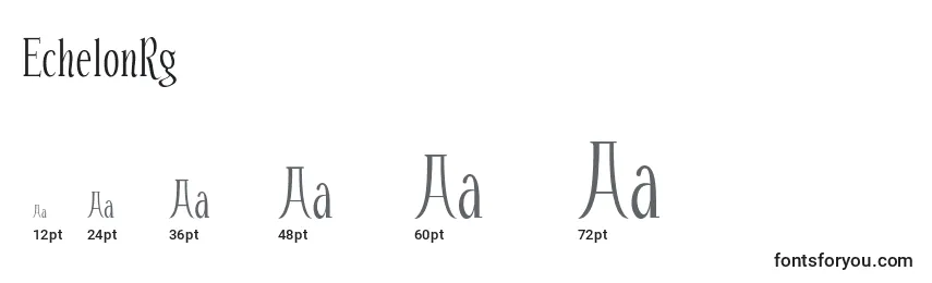 EchelonRg Font Sizes