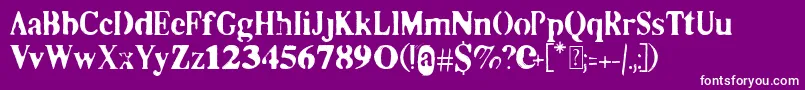 Co2 Font – White Fonts on Purple Background