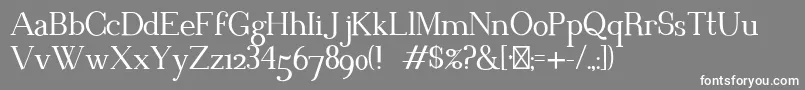 BlithedaleserifRegular Font – White Fonts on Gray Background