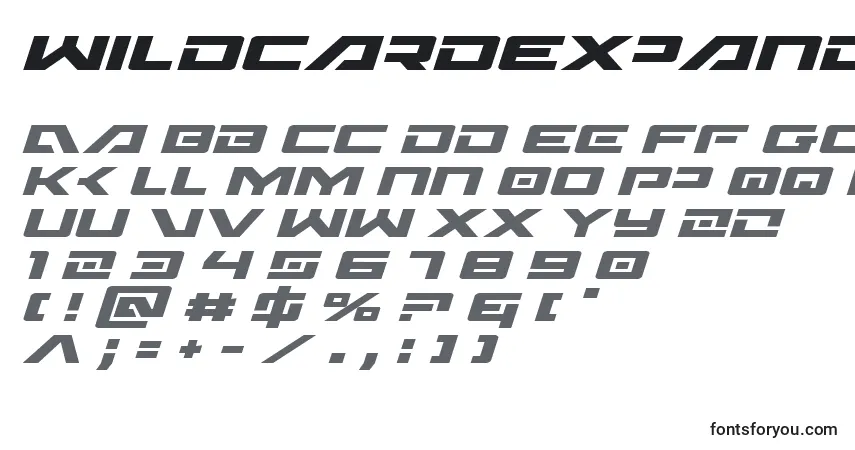 Czcionka WildcardExpandedItalic – alfabet, cyfry, specjalne znaki