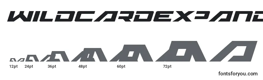 WildcardExpandedItalic Font Sizes