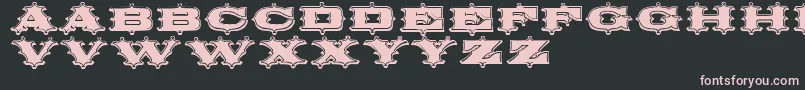 Police Circusornate – polices roses sur fond noir
