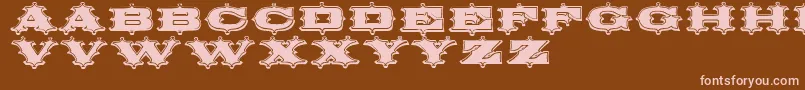 Circusornate Font – Pink Fonts on Brown Background