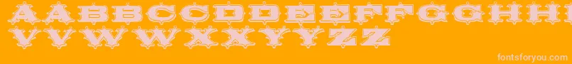 Circusornate Font – Pink Fonts on Orange Background