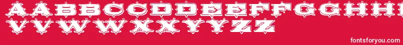 Circusornate Font – White Fonts on Red Background