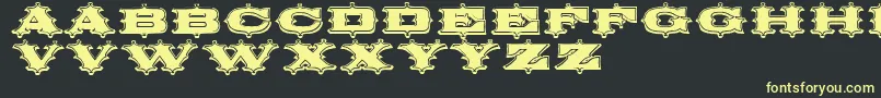 Circusornate Font – Yellow Fonts on Black Background