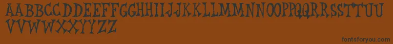 RwLeichenhaus Font – Black Fonts on Brown Background