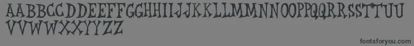 RwLeichenhaus Font – Black Fonts on Gray Background