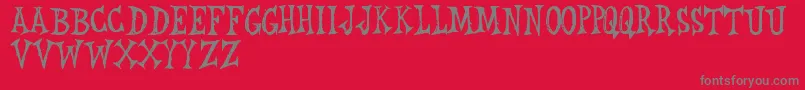 RwLeichenhaus Font – Gray Fonts on Red Background