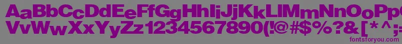 Firewalk36RegularTtext Font – Purple Fonts on Gray Background