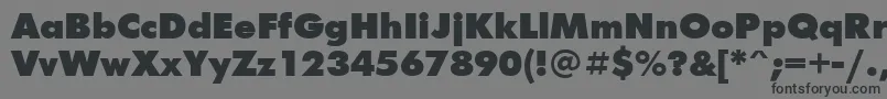 FuturisextraBoldCyrillic Font – Black Fonts on Gray Background