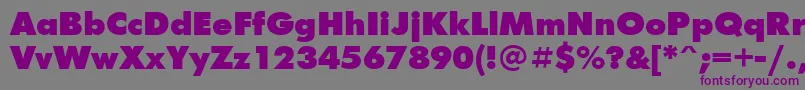 FuturisextraBoldCyrillic Font – Purple Fonts on Gray Background