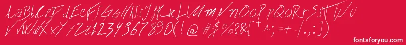 Czcionka BiffeCalligraphy – białe czcionki na czerwonym tle