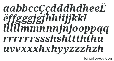 Droidserif Bolditalic font – nyanja Fonts