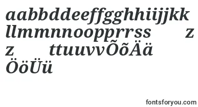 Droidserif Bolditalic font – estonian Fonts