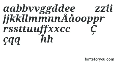 Droidserif Bolditalic font – uzbek Fonts