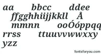 Droidserif Bolditalic font – polish Fonts