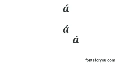 Droidserif Bolditalic font – burmese Fonts