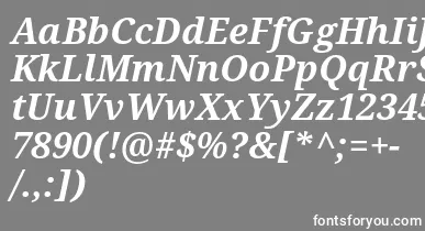Droidserif Bolditalic font – White Fonts On Gray Background