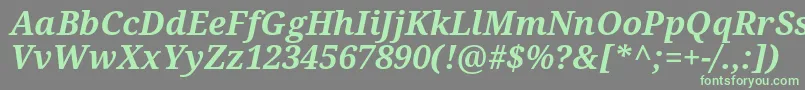 Czcionka Droidserif Bolditalic – zielone czcionki na szarym tle