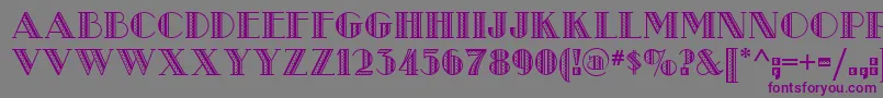 Metro Retro Nf Font – Purple Fonts on Gray Background
