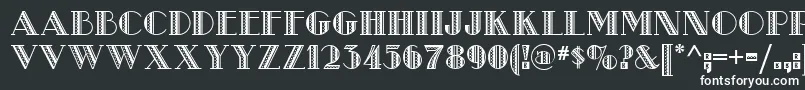 フォントMetro Retro Nf – 白い文字