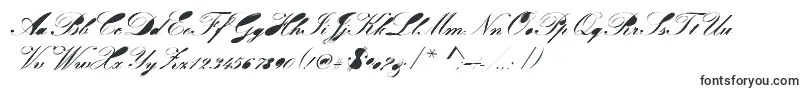 Velvet-fontti – Kalligrafiafontit