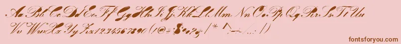 Velvet Font – Brown Fonts on Pink Background