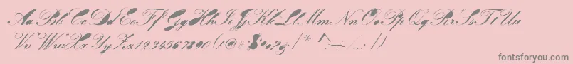 Velvet-Schriftart – Graue Schriften auf rosa Hintergrund