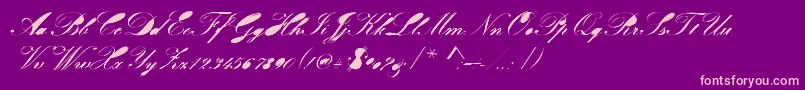 Velvet Font – Pink Fonts on Purple Background