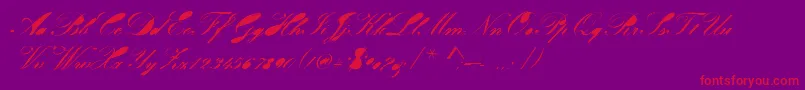 Velvet-Schriftart – Rote Schriften auf violettem Hintergrund