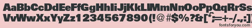 UniversalhvydbNormal Font – Black Fonts on Pink Background