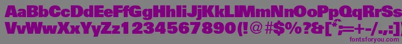 UniversalhvydbNormal Font – Purple Fonts on Gray Background