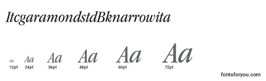 ItcgaramondstdBknarrowita Font Sizes