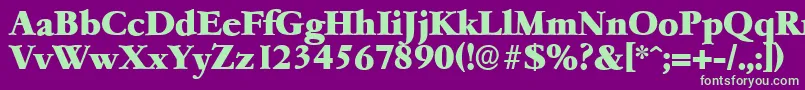 GarfeldserialHeavyBold Font – Green Fonts on Purple Background