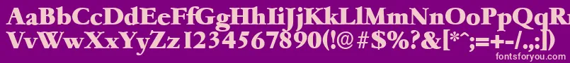 GarfeldserialHeavyBold Font – Pink Fonts on Purple Background