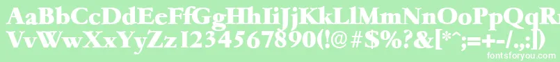 GarfeldserialHeavyBold Font – White Fonts on Green Background