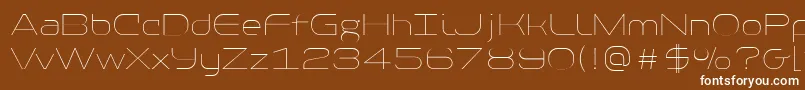 PfbaselineproExtrathin Font – White Fonts on Brown Background