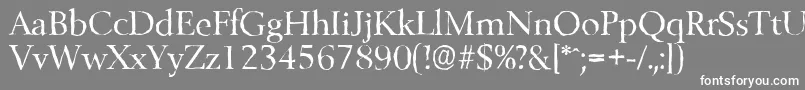 フォントBelfastantiqueRegular – 灰色の背景に白い文字