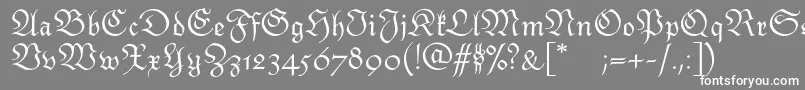 Monarchiatext Font – White Fonts on Gray Background