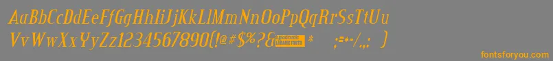 Czcionka Creditvalleyitalic – pomarańczowe czcionki na szarym tle