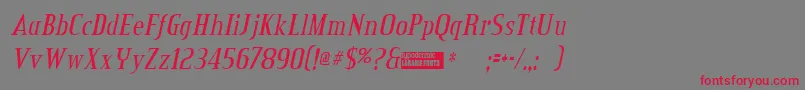 Creditvalleyitalic Font – Red Fonts on Gray Background