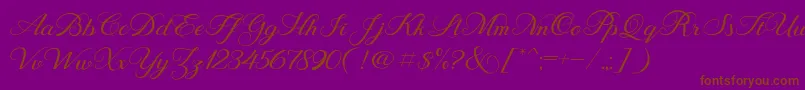 BehindScript Font – Brown Fonts on Purple Background