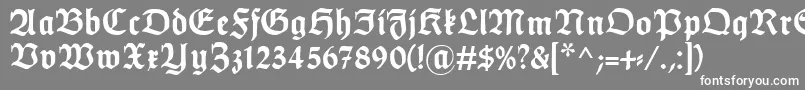 フォントHumboldtfrakturBold – 灰色の背景に白い文字