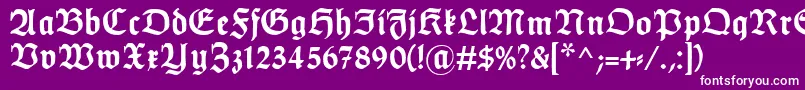 フォントHumboldtfrakturBold – 紫の背景に白い文字